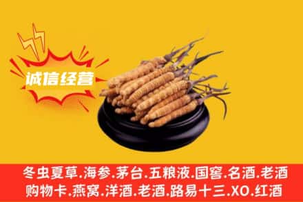 防城港东兴市回收冬虫夏草